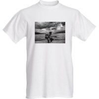 Basic T-shirts, Back To Normal &amp; Beyond