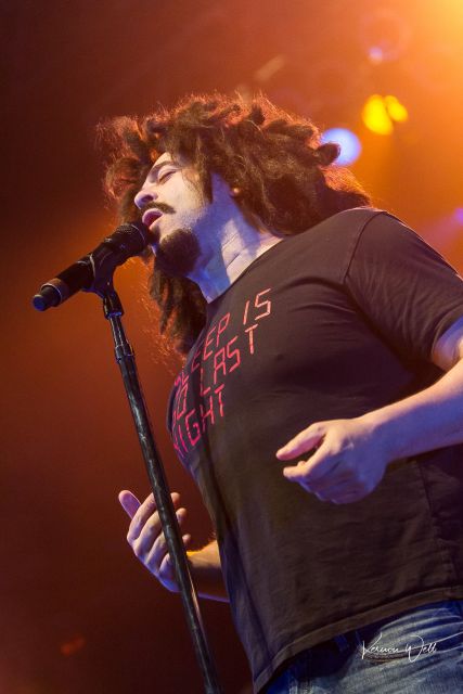 IMG_1136.jpg
