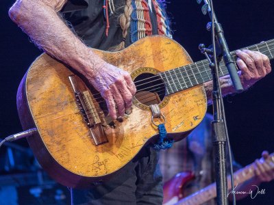 Willie Nelson